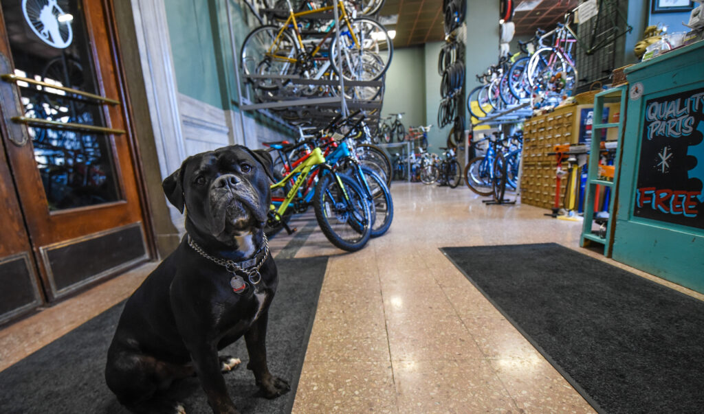 Union street bike clearance shop