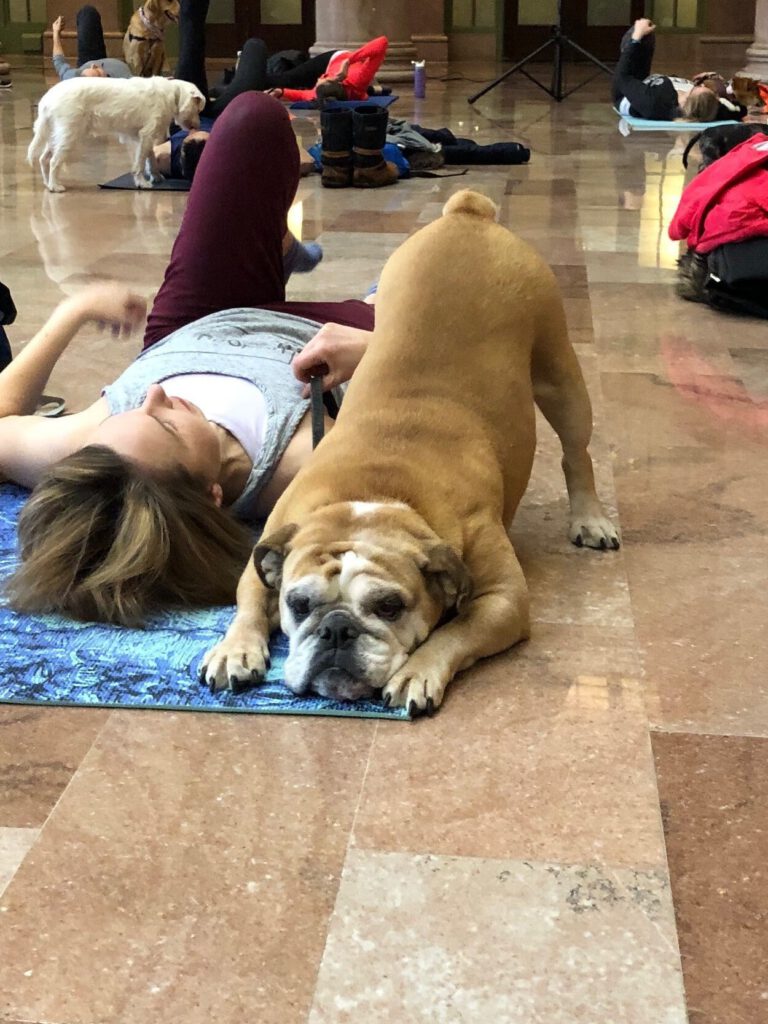 Dog stretching at Union Depot